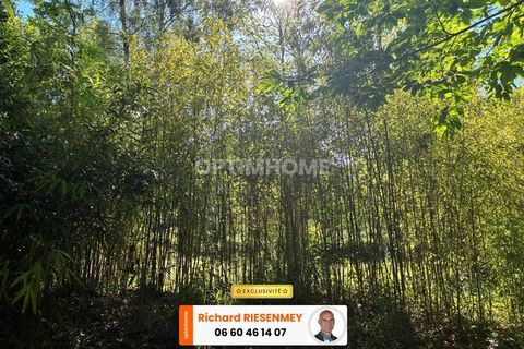 Villa i Saint-Cheron, Essonne, Saint-Cheron - € 34.000 | Ref: 830036415204 - foto 14