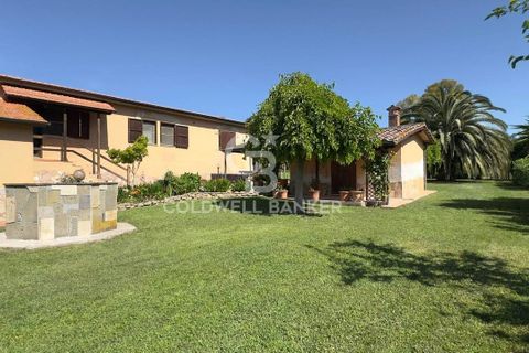 Villa i Tarquinia, Viterbo, Tarquinia - € 430.000 | Ref: CBI018-404-43847 - foto 4
