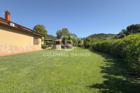 Villa i Tarquinia, Viterbo, Tarquinia - € 430.000 | Ref: CBI018-404-43847 - foto 6