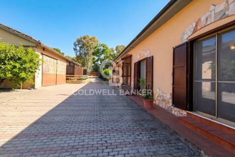 Villa i Tarquinia, Viterbo, Tarquinia - € 430.000 | Ref: CBI018-404-43847 - foto 8