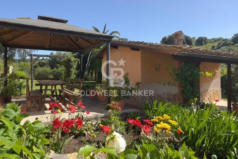 Villa i Tarquinia, Viterbo, Tarquinia - € 430.000 | Ref: CBI018-404-43847 - foto 21