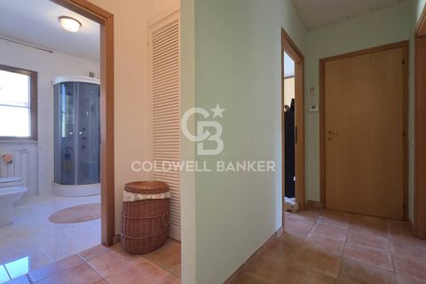 Villa i Tarquinia, Viterbo, Tarquinia - € 430.000 | Ref: CBI018-404-43847 - foto 29