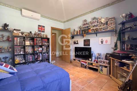 Villa i Tarquinia, Viterbo, Tarquinia - € 430.000 | Ref: CBI018-404-43847 - foto 31