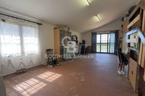 Villa i Tarquinia, Viterbo, Tarquinia - € 430.000 | Ref: CBI018-404-43847 - foto 37