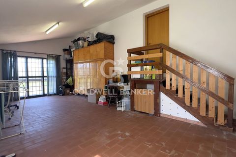 Villa i Tarquinia, Viterbo, Tarquinia - € 430.000 | Ref: CBI018-404-43847 - foto 38