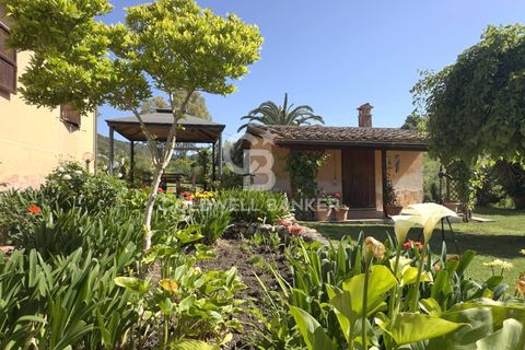 Villa i Tarquinia, Viterbo, Tarquinia - € 430.000 | Ref: CBI018-404-43847 - foto 41