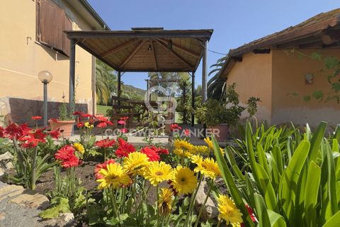 Villa i Tarquinia, Viterbo, Tarquinia - € 430.000 | Ref: CBI018-404-43847 - foto 42