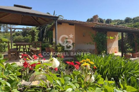 Villa i Tarquinia, Viterbo, Tarquinia - € 430.000 | Ref: CBI018-404-43847 - foto 43