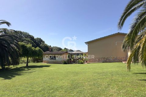 Villa i Tarquinia, Viterbo, Tarquinia - € 430.000 | Ref: CBI018-404-43847 - foto 47
