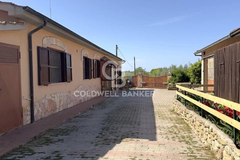 Villa i Tarquinia, Viterbo, Tarquinia - € 430.000 | Ref: CBI018-404-43847 - foto 48