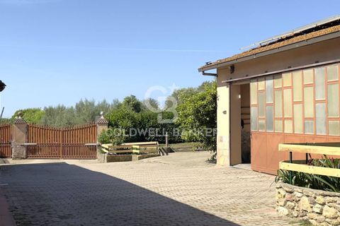 Villa i Tarquinia, Viterbo, Tarquinia - € 430.000 | Ref: CBI018-404-43847 - foto 49