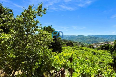 Villa i Baiao, Porto, Baiao - € 50 000 | Ref: #289 - foto 36