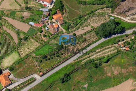 Villa i Baiao, Porto, Baiao - € 50 000 | Ref: #289 - foto 49