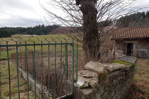 Villa i Sauvessanges, Puy-de-Dome, Sauvessanges - € 89.000 | Ref: 830035783464 - foto 17