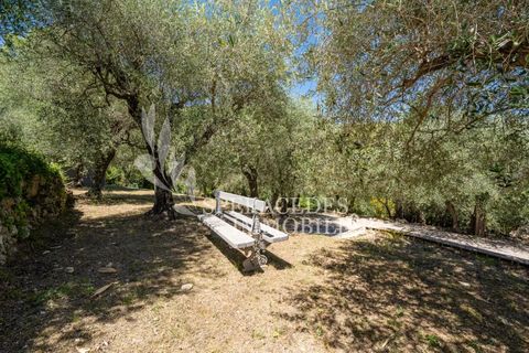 Villa a Le Tignet, Alpes-Maritimes, Le Tignet - € 945.000 | Ref: 87106967 - foto 23