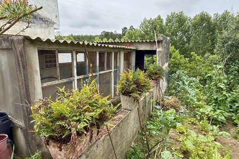 Villa i Milheiros, Porto, Milheiros - € 289.000 | Ref: VR-289-468 (2) - foto 16