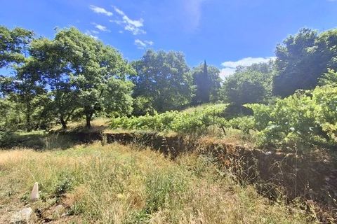 Villa i Les Vans, Ardeche, Les Vans - € 244.000 | Ref: 87069847 - foto 11