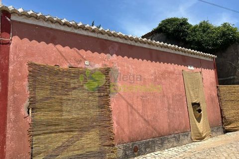 Ruinere i Carvalhal, Leiria, Carvalhal - € 69.900 | Ref: 2255 - foto 4
