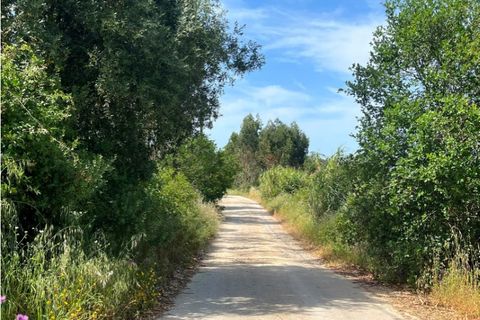 Helårsgrund i Mafra, Lisbon, Mafra - € 32.500 | Ref: 306260085 - foto 3