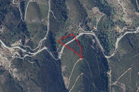 Helårsgrund i Monchique, Faro, Monchique - € 10.000 | Ref: 104992 - foto 2