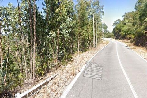 Helårsgrund i Monchique, Faro, Monchique - € 10.000 | Ref: 104992 - foto 3