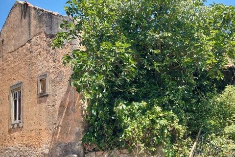 Byhus i Rio Maior, Santarem, Rio Maior - € 142.000 | Ref: 948304 - foto 11