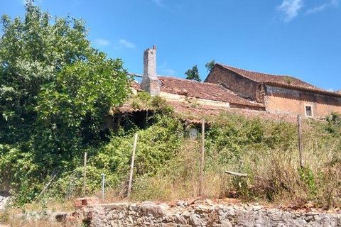 Byhus i Rio Maior, Santarem, Rio Maior - € 142.000 | Ref: 948304 - foto 17