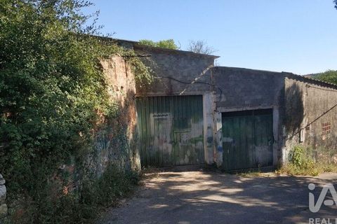 Byhus i Rio Maior, Santarem, Rio Maior - € 142.000 | Ref: 948304 - foto 19