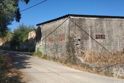 Byhus i Rio Maior, Santarem, Rio Maior - € 142.000 | Ref: 948304 - foto 22