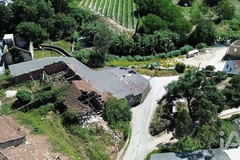 Byhus i Rio Maior, Santarem, Rio Maior - € 142.000 | Ref: 948304 - foto 35