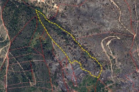 Helårsgrund i Monchique, Faro, Monchique - € 20.000 | Ref: 104999 - foto 2