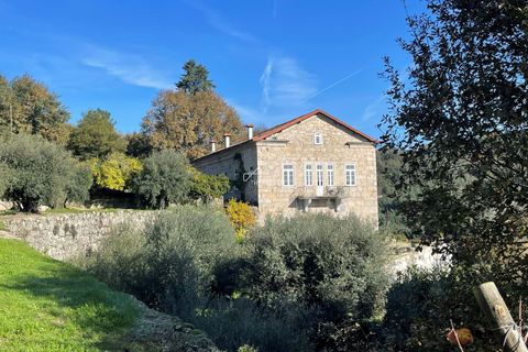 Villa i Tondela, Viseu, Tondela - € 1.380.000 | Ref: TAPT01-1731_BJA - foto 2