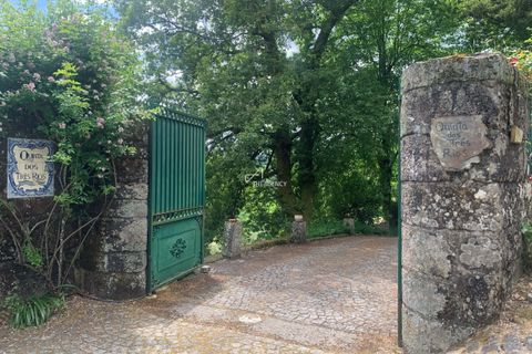 Villa i Tondela, Viseu, Tondela - € 1.380.000 | Ref: TAPT01-1731_BJA - foto 24