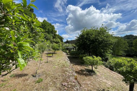 Villa i Tondela, Viseu, Tondela - € 1.380.000 | Ref: TAPT01-1731_BJA - foto 25