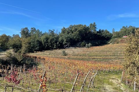 Villa i Tondela, Viseu, Tondela - € 1.380.000 | Ref: TAPT01-1731_BJA - foto 26