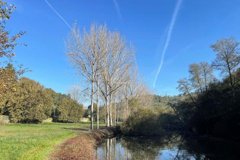Villa i Tondela, Viseu, Tondela - € 1.380.000 | Ref: TAPT01-1731_BJA - foto 27
