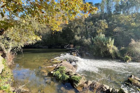 Villa i Tondela, Viseu, Tondela - € 1.380.000 | Ref: TAPT01-1731_BJA - foto 30