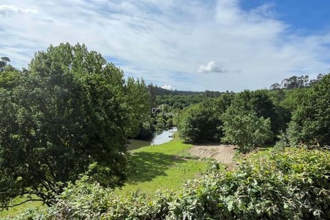 Villa i Tondela, Viseu, Tondela - € 1.380.000 | Ref: TAPT01-1731_BJA - foto 33