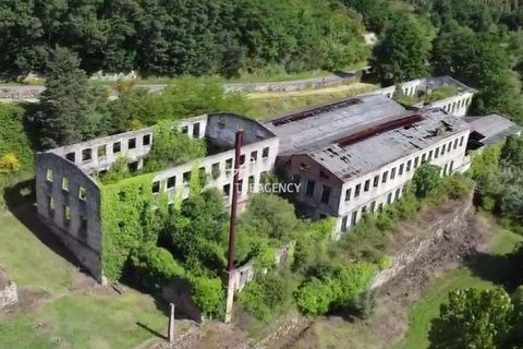 Villa i Tondela, Viseu, Tondela - € 1.380.000 | Ref: TAPT01-1731_BJA - foto 34
