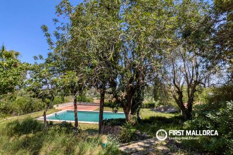 Villa i Establiments, Mallorca, Establiments - € 1.395.000 | Ref: 83658 - foto 17