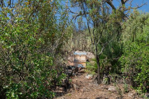Cortijo a Almogia, Malaga, Almogia - € 395.000 | Ref: R5418814 - foto 35