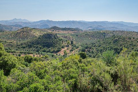 Cortijo a Almogia, Malaga, Almogia - € 395.000 | Ref: R5418814 - foto 37