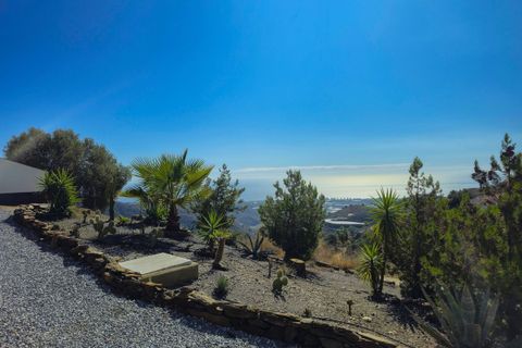 Villa i Arenas De Velez, Malaga, Arenas De Velez - € 535.000 | Ref: R5419396 - foto 50