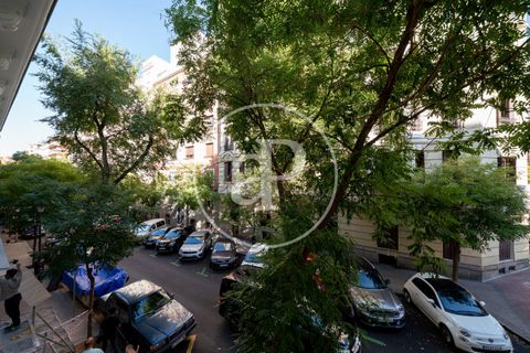 Lejlighed i Madrid, Madrid, Madrid - € 1.600.000 | Ref: VM2606064 - foto 29