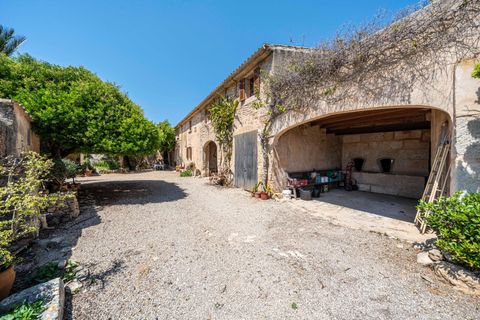 Landejendom i Llucmajor, Mallorca, Llucmajor - € 1.550.000 | Ref: 13ARIJ049/3010 - foto 37