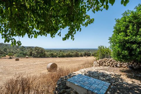 Landejendom i Llucmajor, Mallorca, Llucmajor - € 1.550.000 | Ref: 13ARIJ049/3010 - foto 45