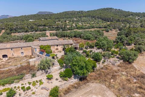 Landejendom i Llucmajor, Mallorca, Llucmajor - € 1.550.000 | Ref: 13ARIJ049/3010 - foto 48