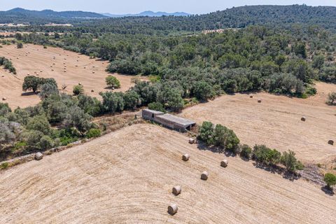 Landejendom i Llucmajor, Mallorca, Llucmajor - € 1.550.000 | Ref: 13ARIJ049/3010 - foto 49