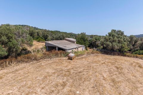 Landejendom i Llucmajor, Mallorca, Llucmajor - € 1.550.000 | Ref: 13ARIJ049/3010 - foto 50