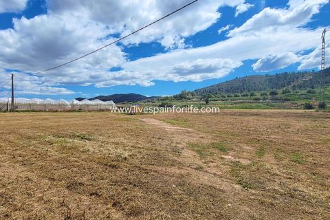 Villa a La Romana, Alicante, La Romana - € 345.000 | Ref: CH-88344-D - foto 16